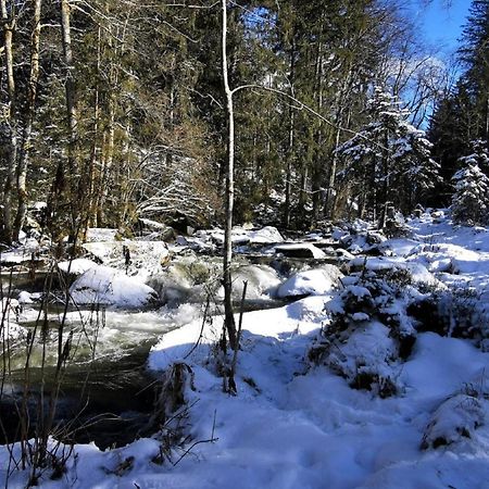 Ferienwohnung Am Woid - Herrliche Alleinlage - Vegane Einrichtung Waldkirchen Exteriér fotografie