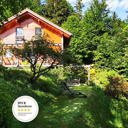 Ferienwohnung Am Woid - Herrliche Alleinlage - Vegane Einrichtung Waldkirchen Exteriér fotografie