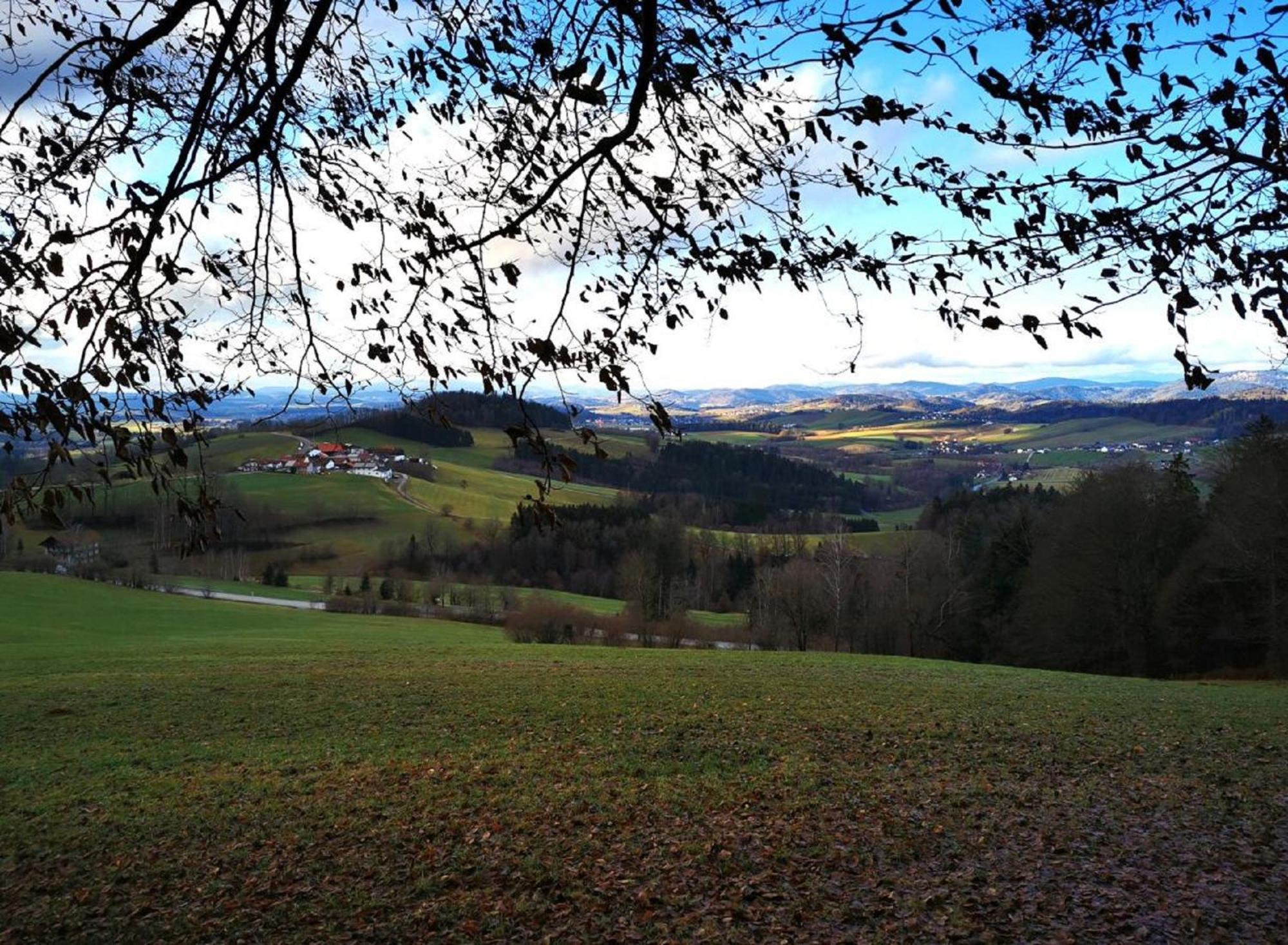 Ferienwohnung Am Woid - Herrliche Alleinlage - Vegane Einrichtung Waldkirchen Exteriér fotografie