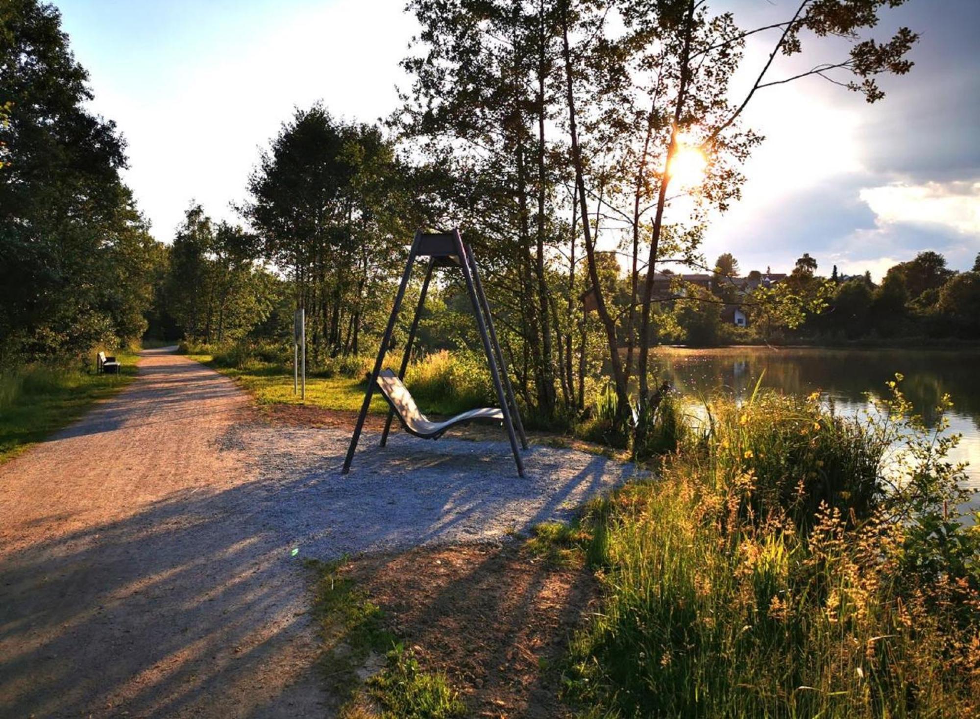 Ferienwohnung Am Woid - Herrliche Alleinlage - Vegane Einrichtung Waldkirchen Exteriér fotografie