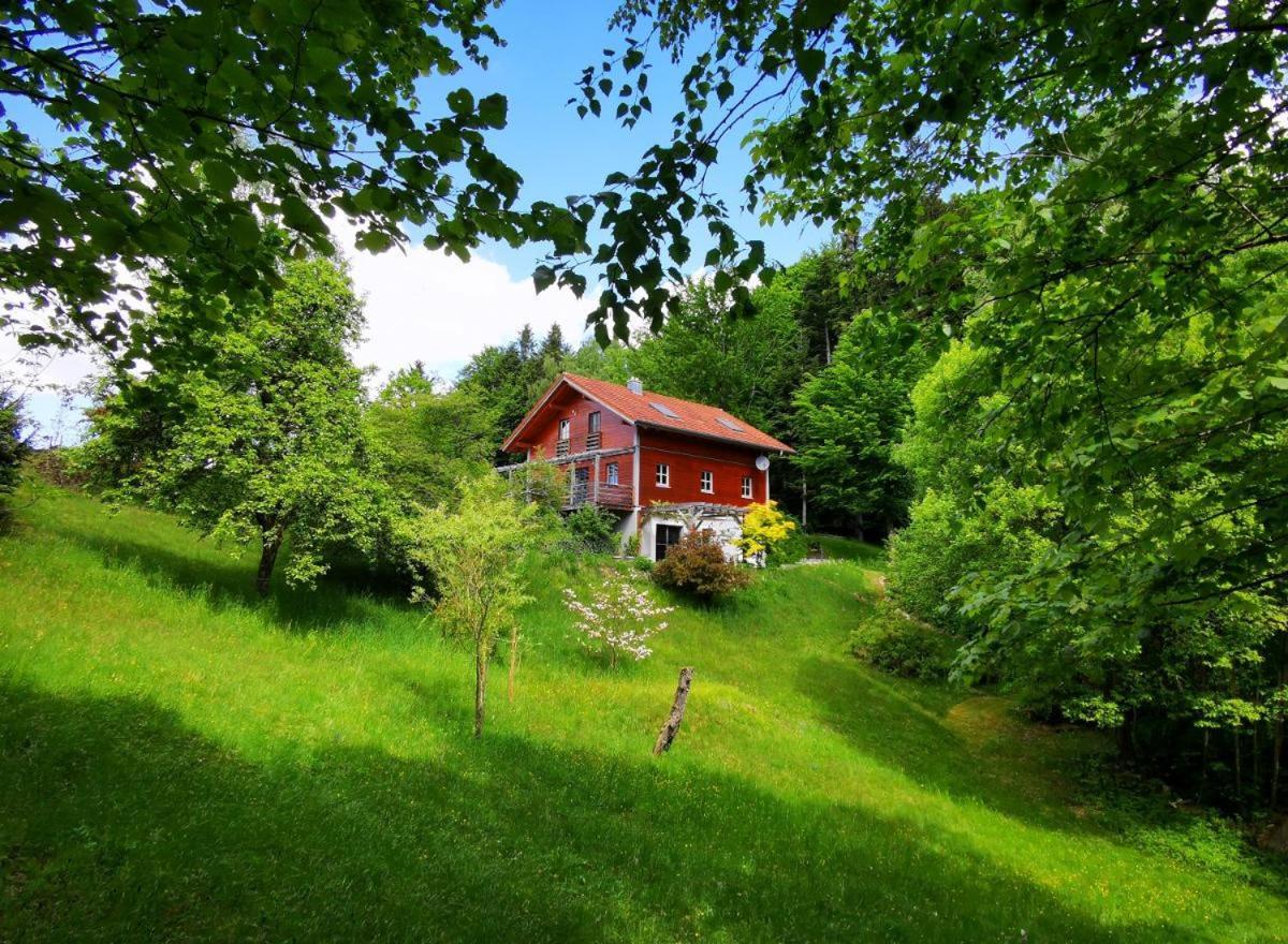 Ferienwohnung Am Woid - Herrliche Alleinlage - Vegane Einrichtung Waldkirchen Exteriér fotografie